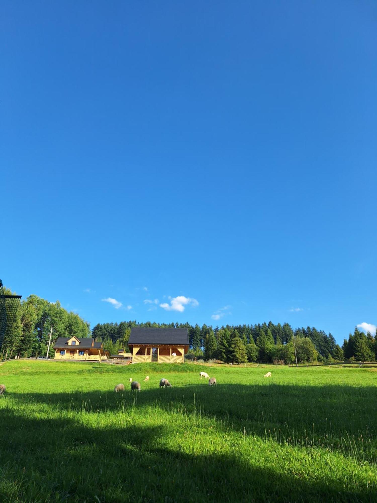 W Klisiowkach Holiday home